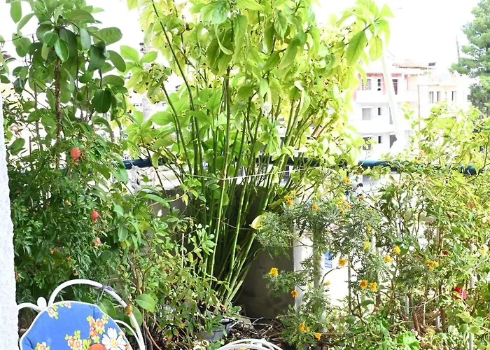 Antonias * Нафплион